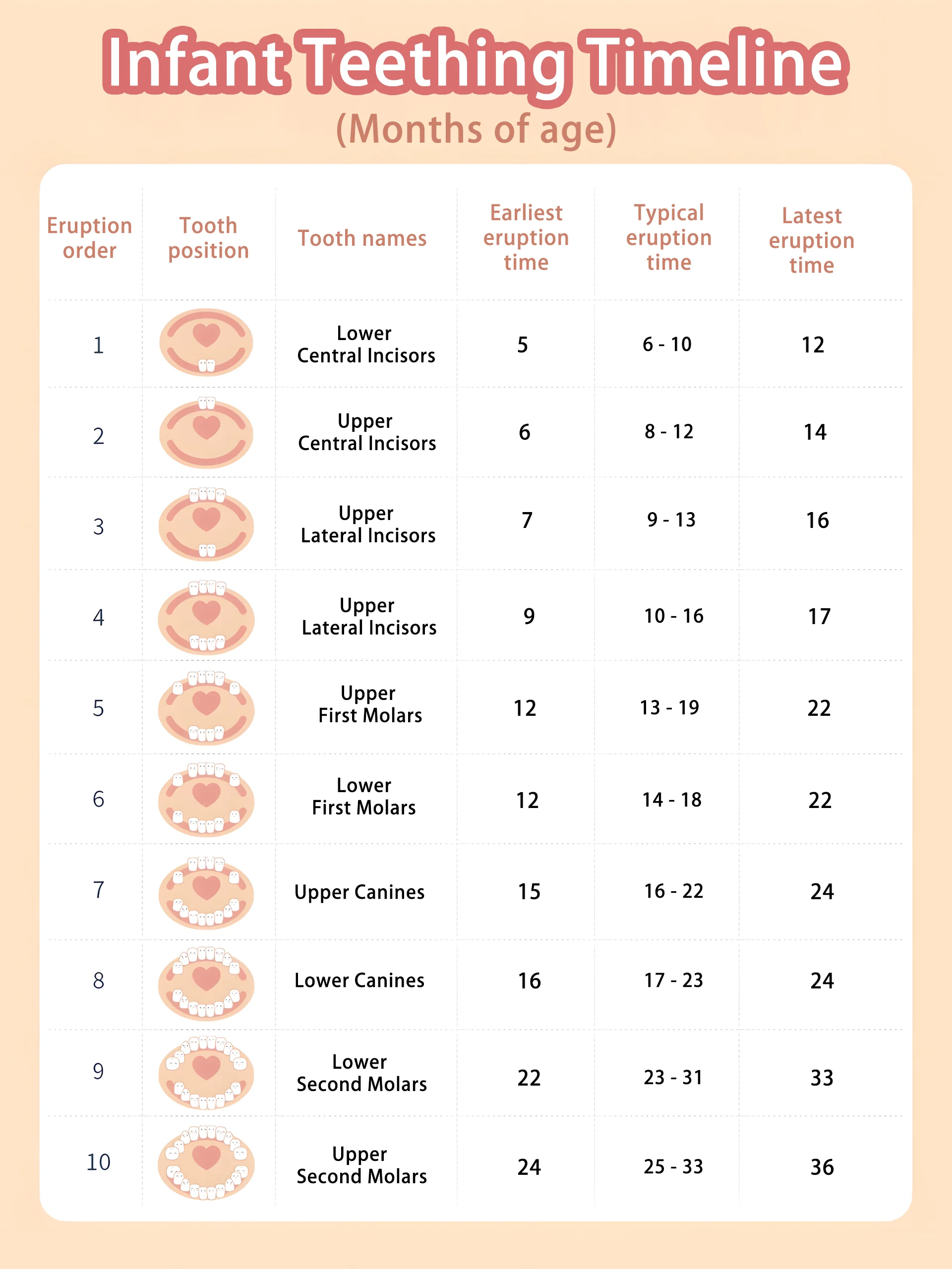 Baby teething chart showing infant tooth eruption timeline from 5 to 36 months